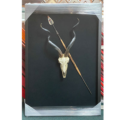 Customed Framed Skull & spear 